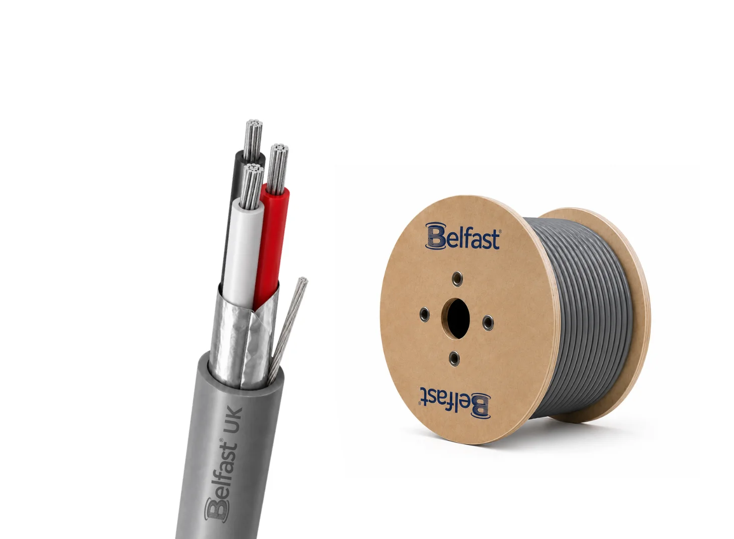 BCS1303