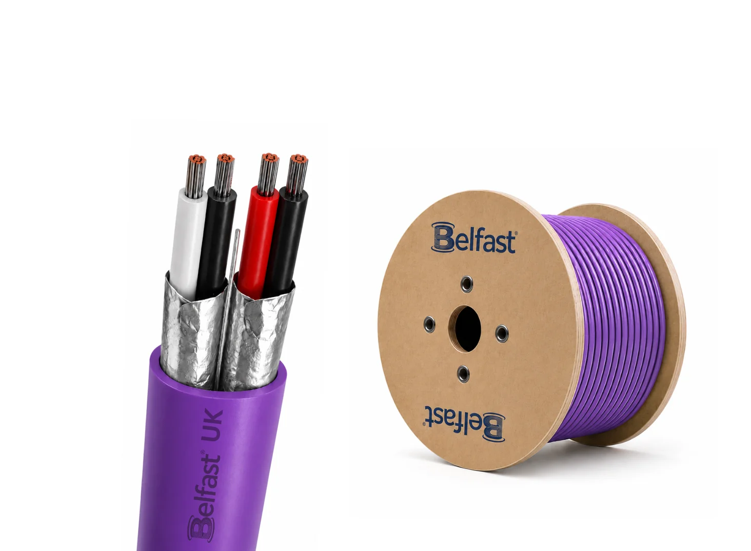 BCS1281