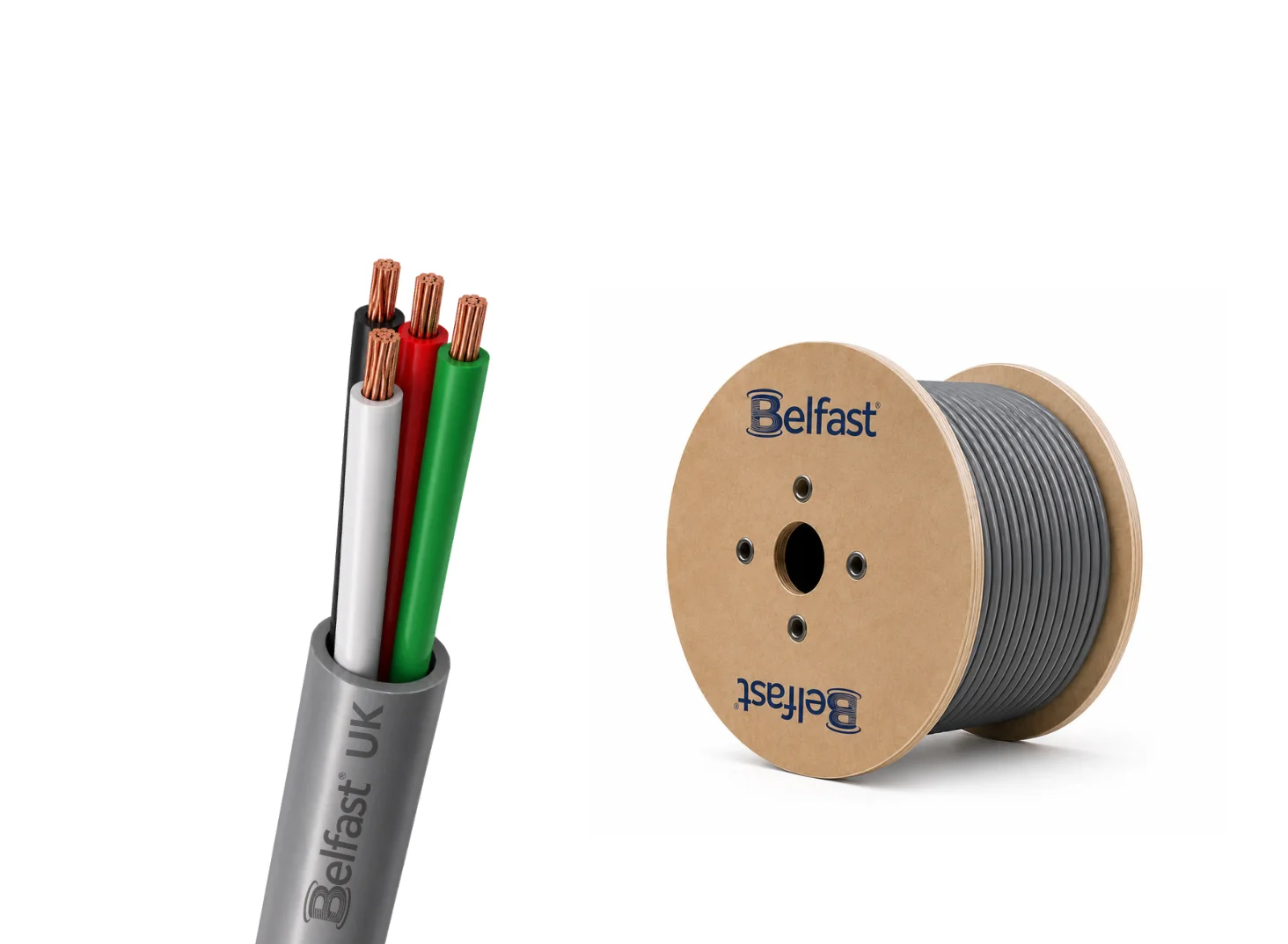 BCS1006